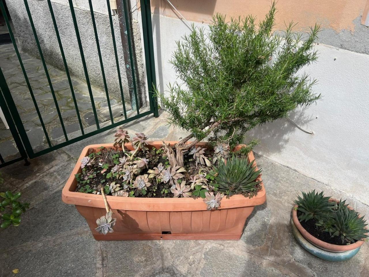 Appartamento Vicino Al Mare Moneglia Exterior foto